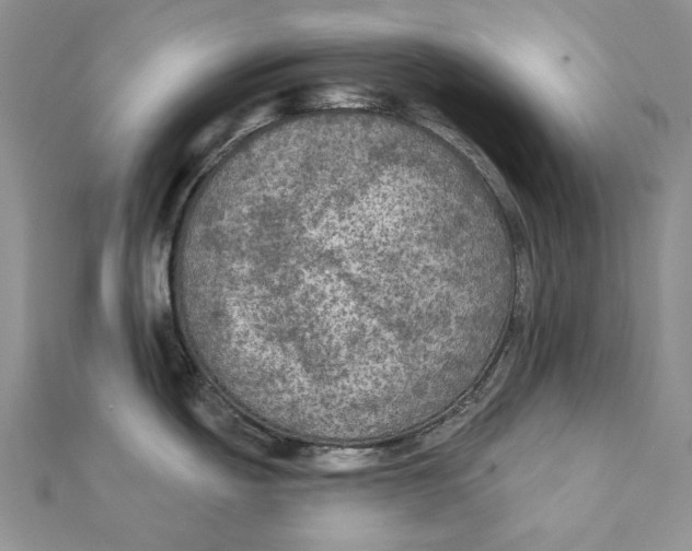 X0000112351439200909031840