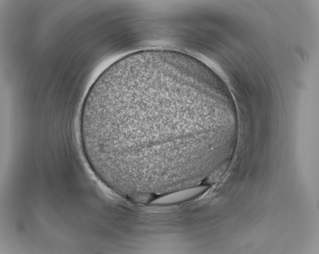 X0000112351440200909031840