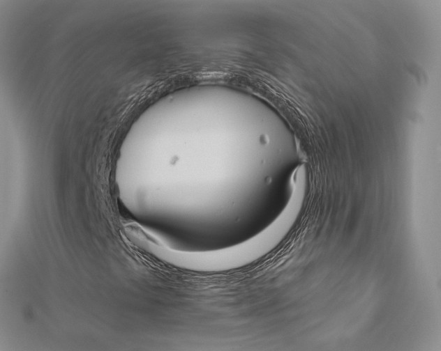 X0000112351441200909031839