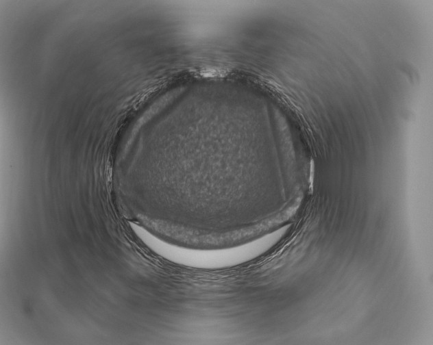 X0000112351443200909031839