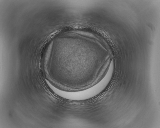 X0000112351444200909031839