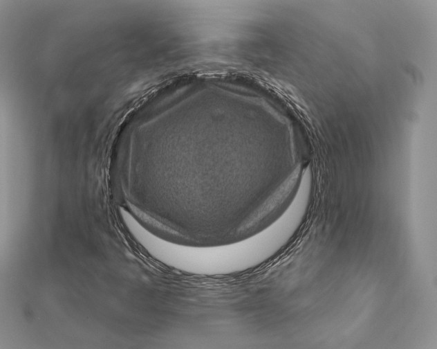 X0000112351445200909031839