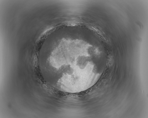 X0000112351446200909031839