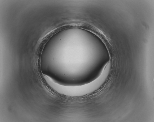 X0000112351448200909031839