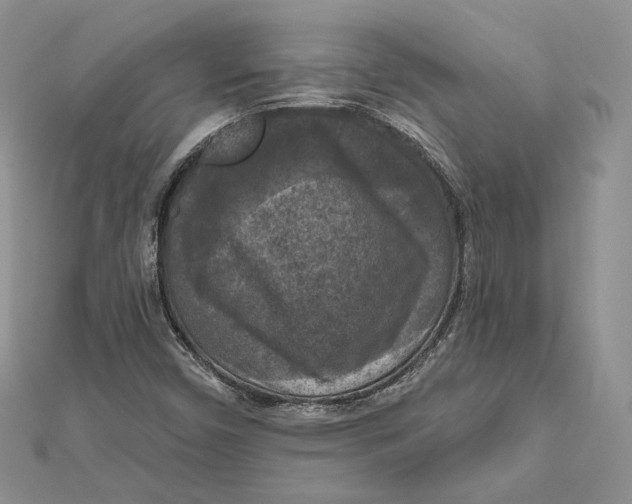 X0000112351450200909031839