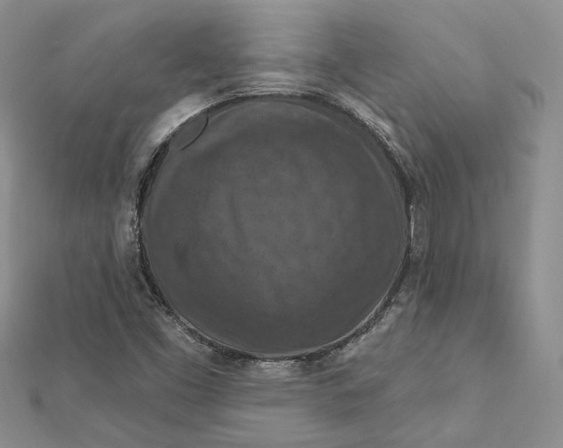 X0000112351453200909031839