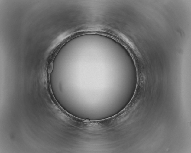 X0000112351456200909031839