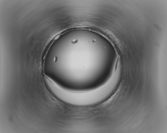 X0000112351457200909031839