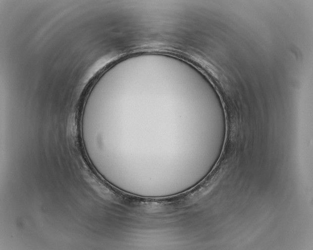 X0000112351458200909031839