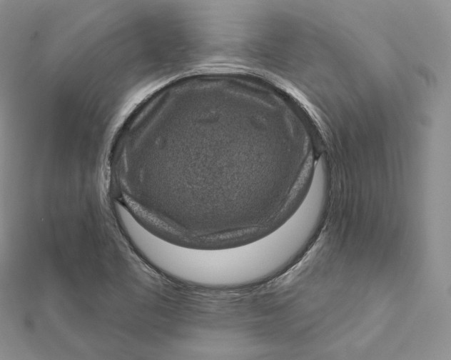 X0000112351461200909031839