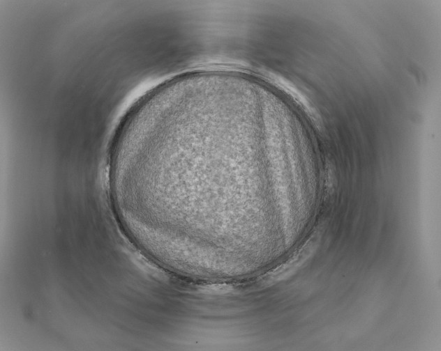 X0000112351462200909031839