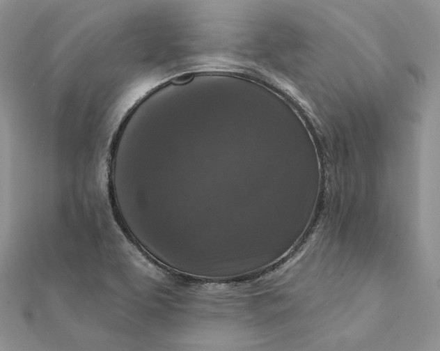 X0000112351463200909031839