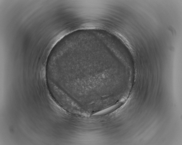 X0000112351465200909031839