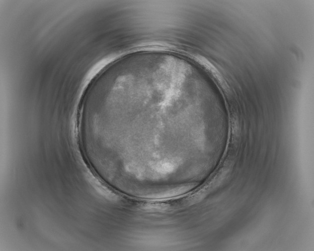 X0000112351466200909031839