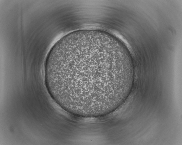 X0000112351467200909031839