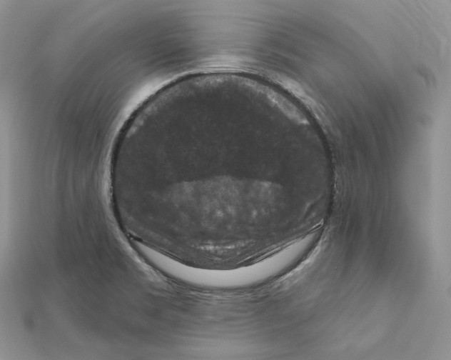 X0000112351469200909031839