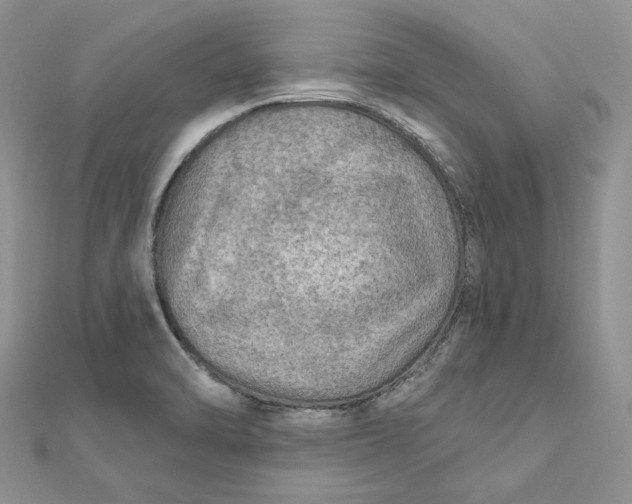 X0000112351470200909031839