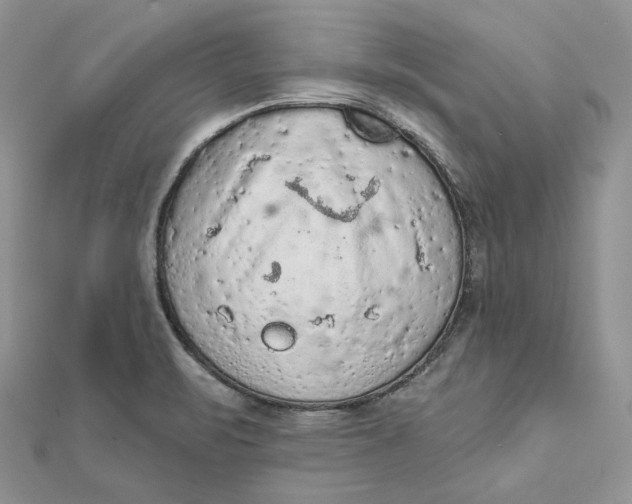 X0000112351471200909031839