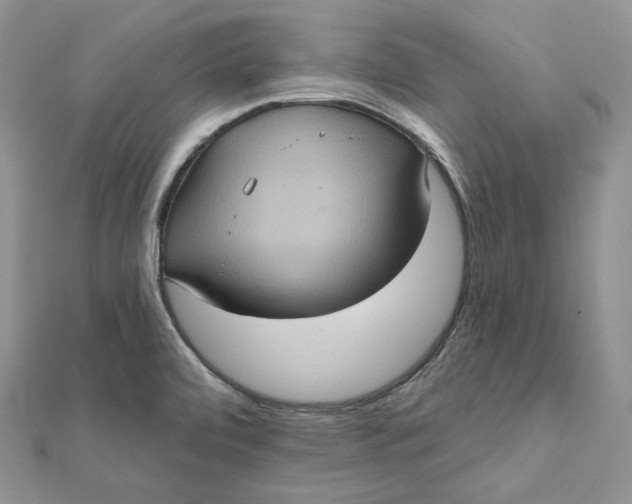 X0000112351472200909031839