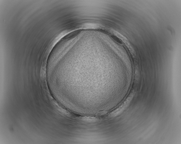 X0000112351473200909031839