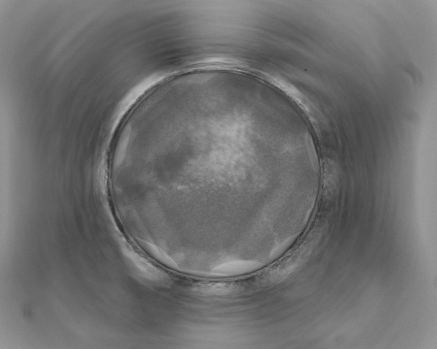 X0000112351474200909031839