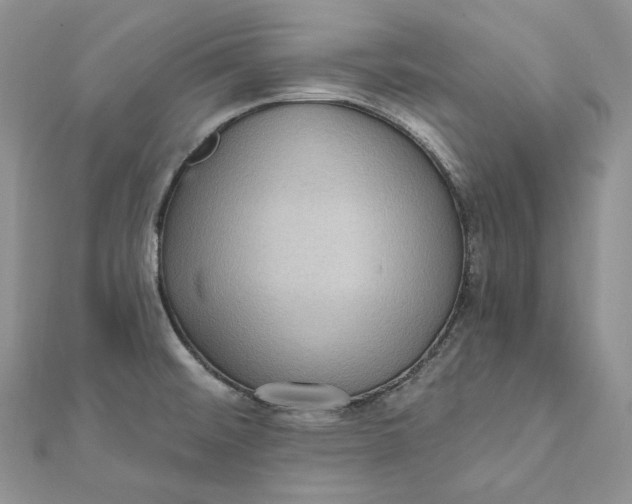 X0000112351476200909031839