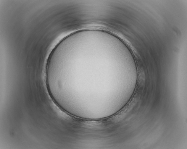 X0000112351478200909031839