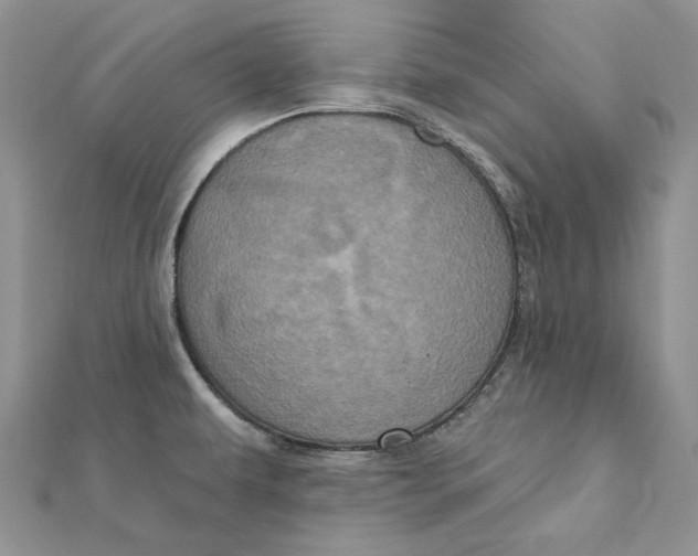 X0000112351479200909031839