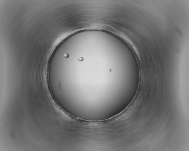 X0000112351480200909031839