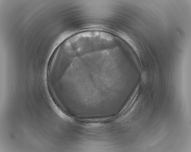 X0000112351482200909031838