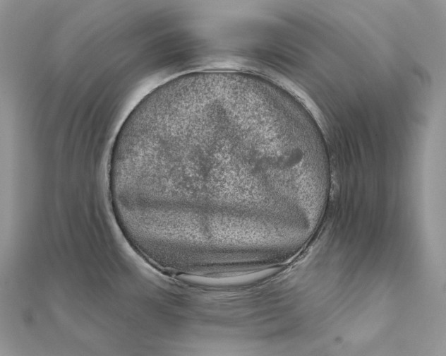 X0000112351483200909031838