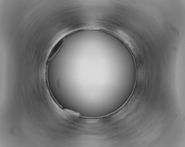 X0000112351484200909031838