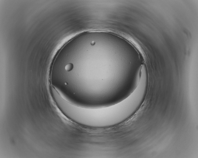 X0000112351485200909031838