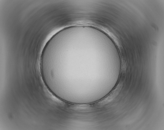 X0000112351486200909031838