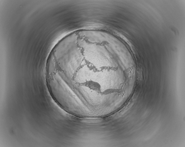 X0000112351487200909031838