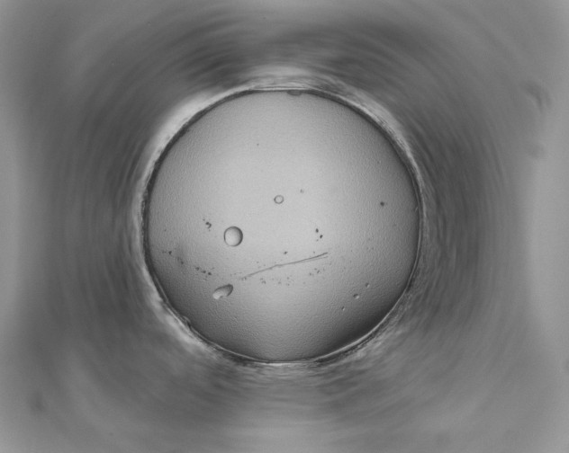 X0000112351488200909031838