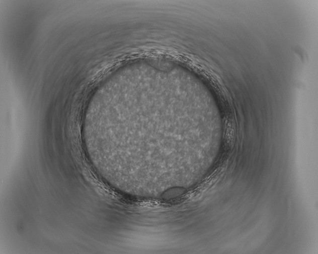 X0000112351489200909031838