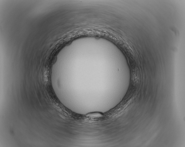 X0000112351490200909031838