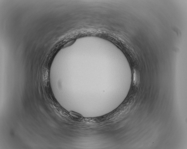 X0000112351492200909031838