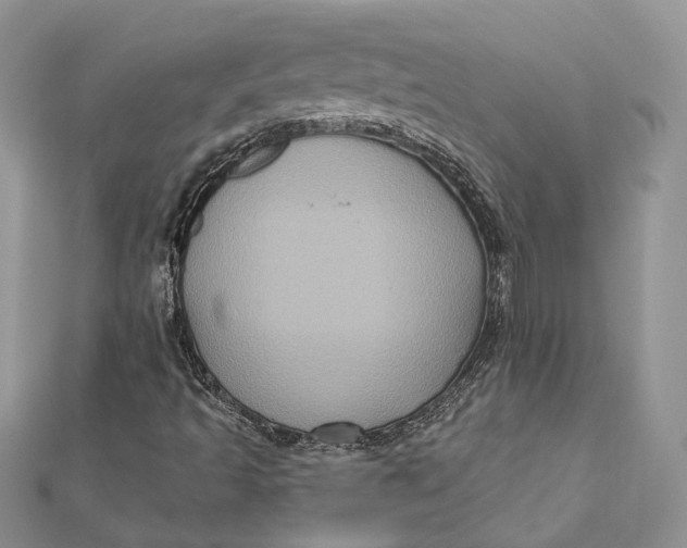 X0000112351493200909031838