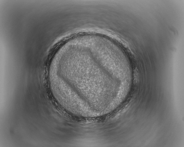 X0000112351494200909031838