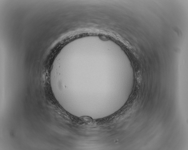 X0000112351495200909031838