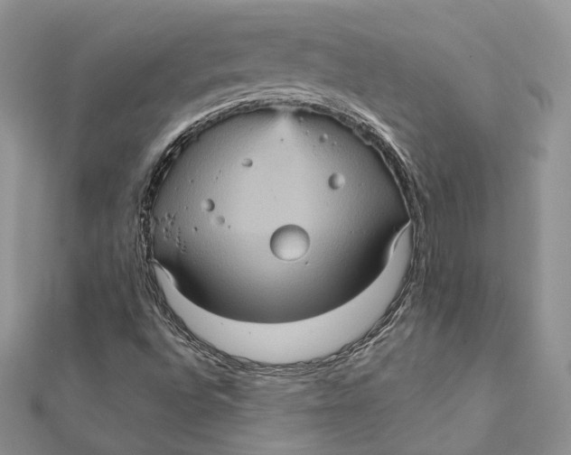 X0000112351496200909031838