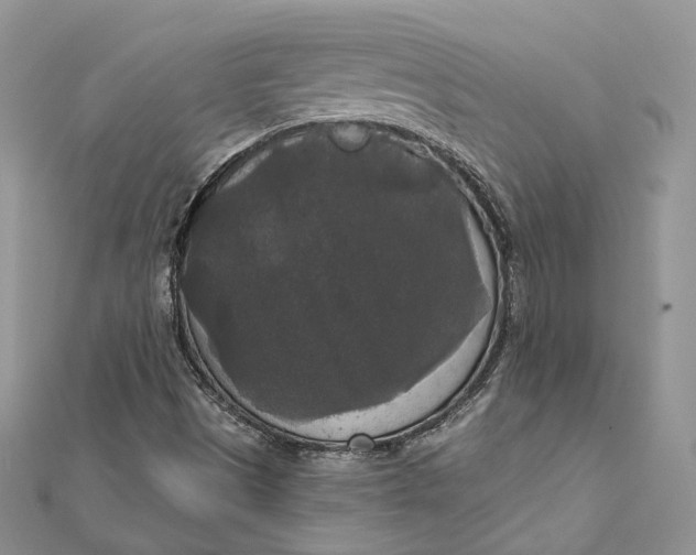 X0000112351497200909031838