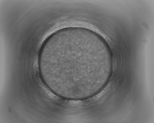 X0000112351498200909031838