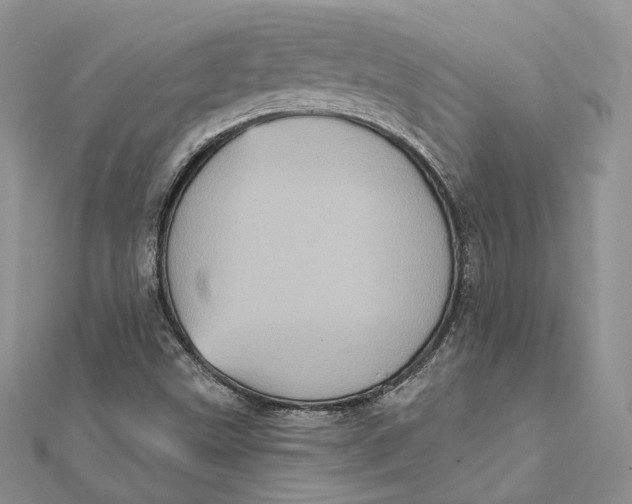 X0000112351499200909031838