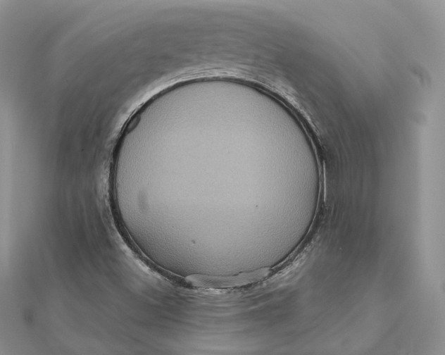 X0000112351500200909031838