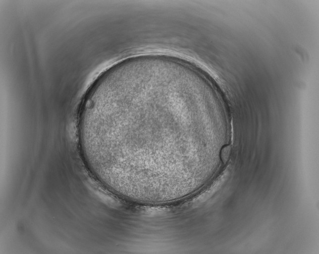 X0000112351501200909031838