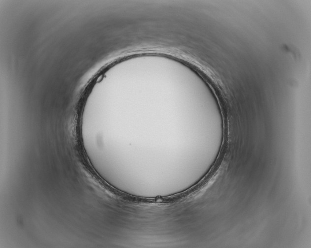 X0000112351502200909031838