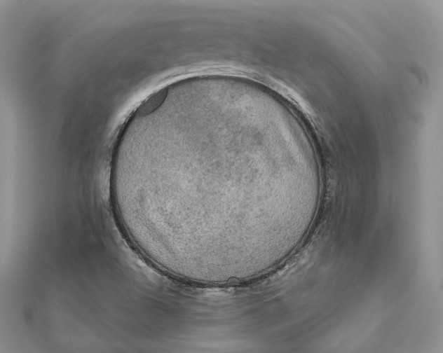 X0000112351504200909031838